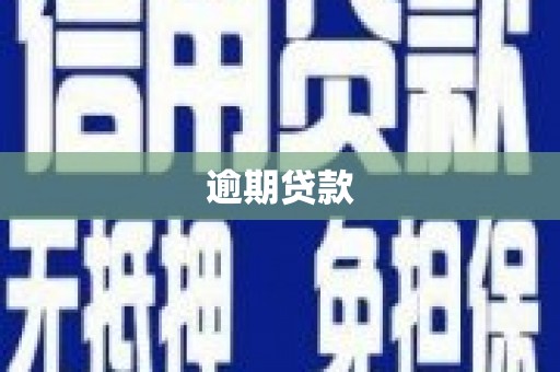 九台逾期贷款