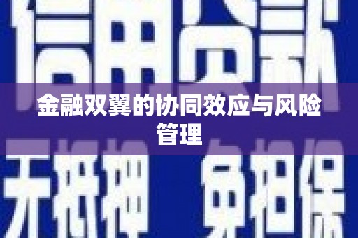 九台金融双翼的协同效应与风险管理