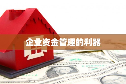 九台企业资金管理的利器