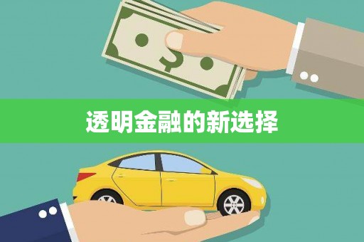 九台透明金融的新选择