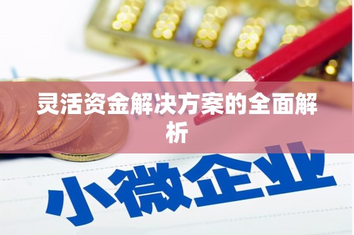 九台灵活资金解决方案的全面解析