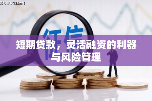 九台短期贷款，灵活融资的利器与风险管理