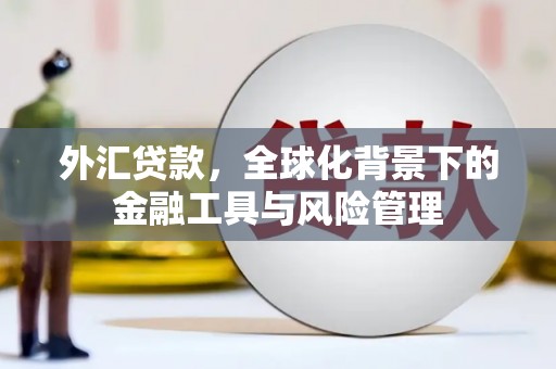 九台外汇贷款，全球化背景下的金融工具与风险管理