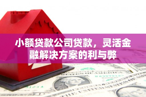 九台小额贷款公司贷款，灵活金融解决方案的利与弊