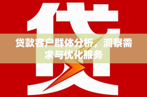 九台贷款客户群体分析，洞察需求与优化服务
